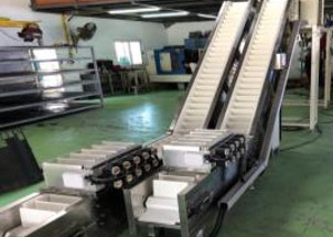 AUTOMATIC  COUNTING CONVEYOR